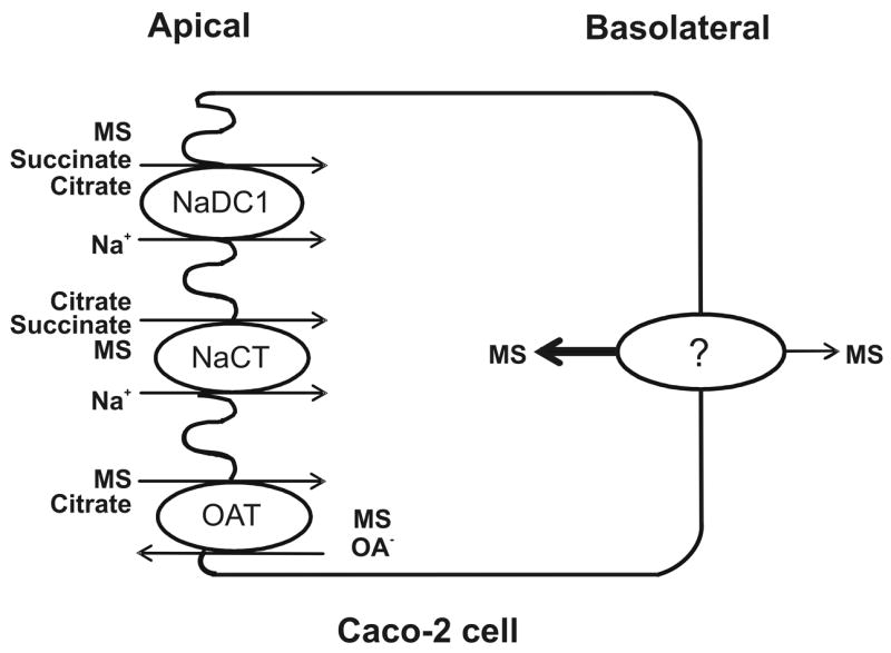 Fig. 9