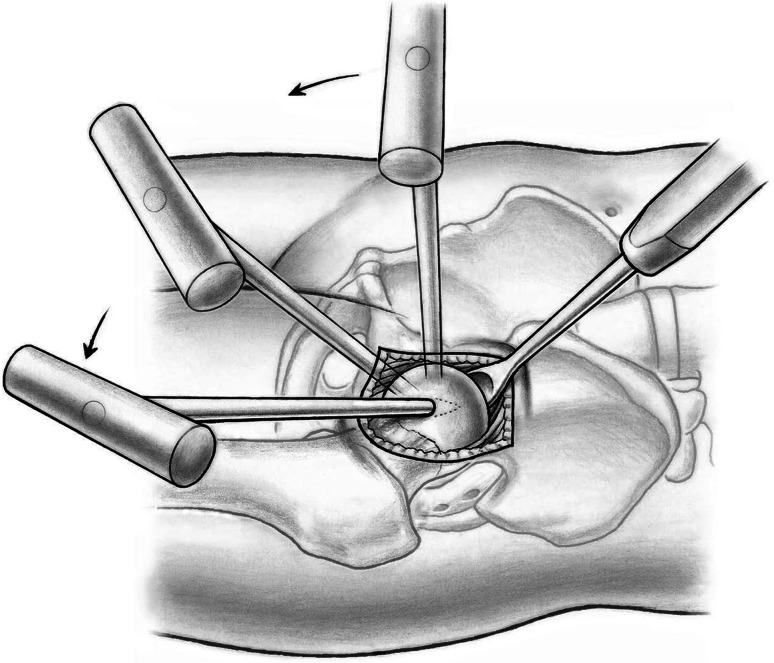 Fig. 8