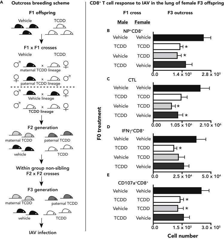 Figure 5