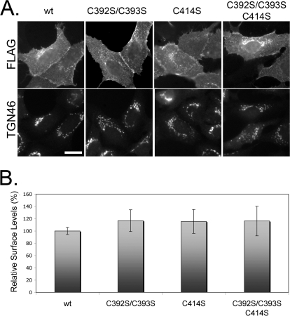 FIGURE 3.