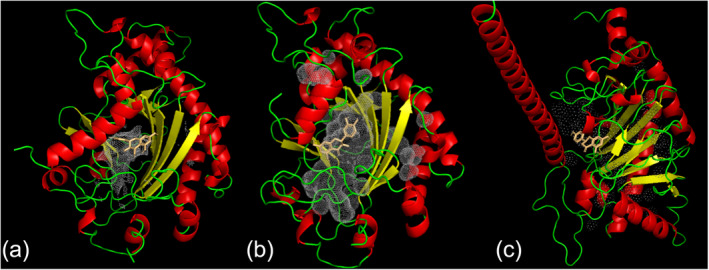 FIGURE 4
