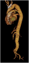 Fig 4