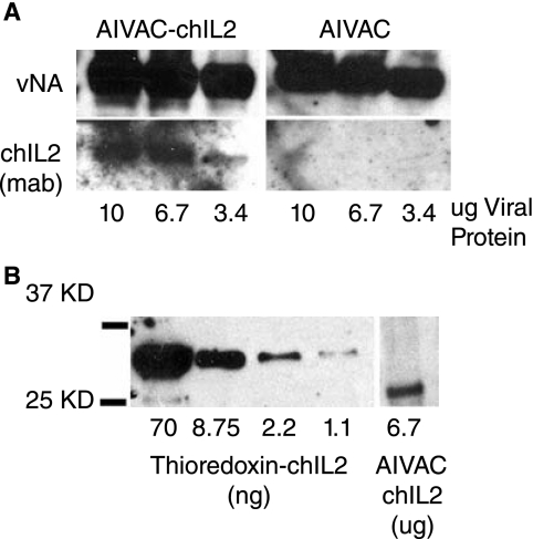 FIG. 5.