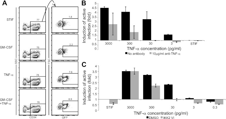 Fig 4