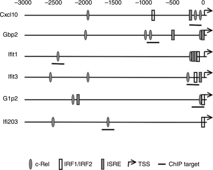 FIG. 4.