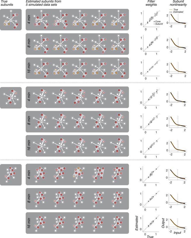 Figure 3—figure supplement 1.