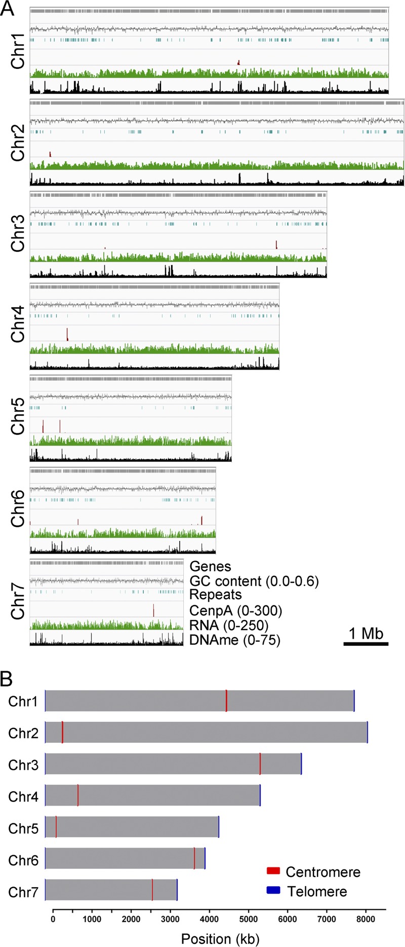 FIG 6