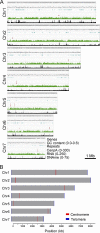 FIG 6