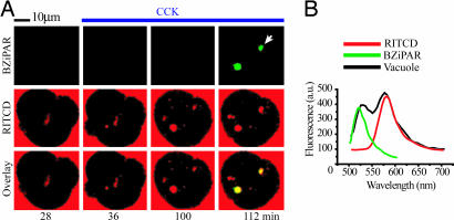 Fig. 3.