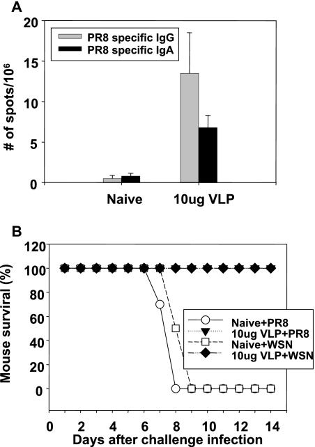 FIG. 9.