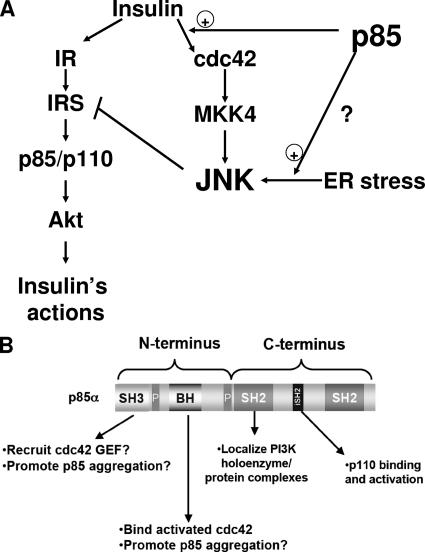 FIG. 8.