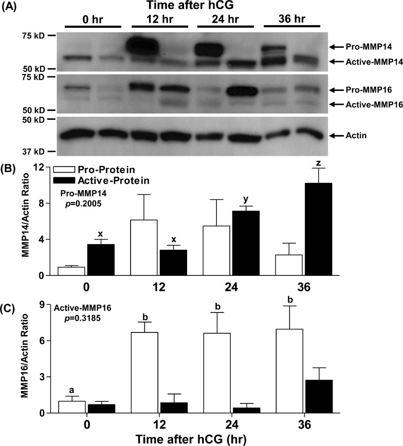 FIG. 4