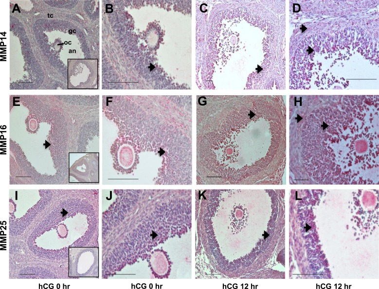 FIG. 5