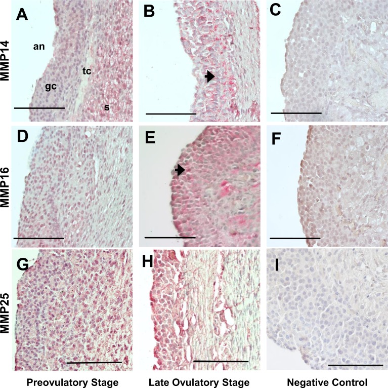 FIG. 6