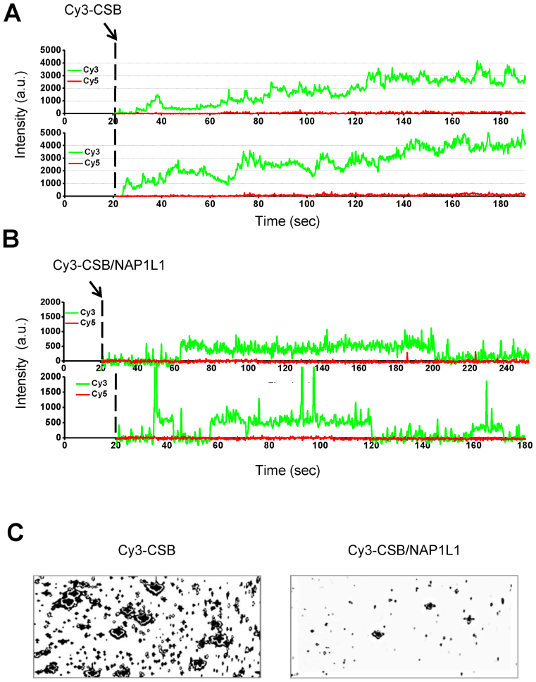 Figure 4.