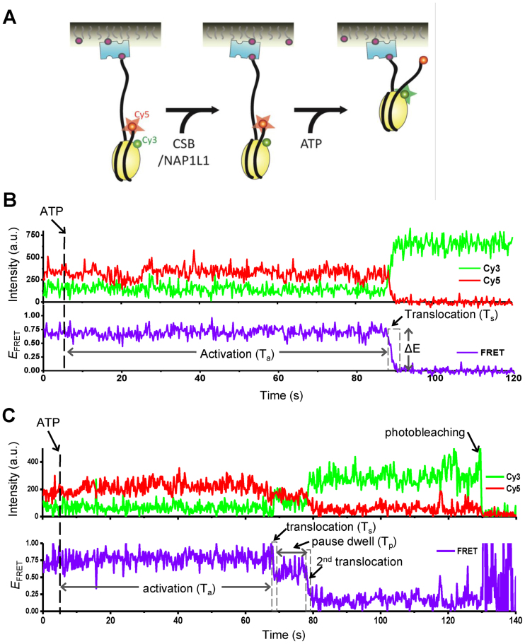 Figure 5.