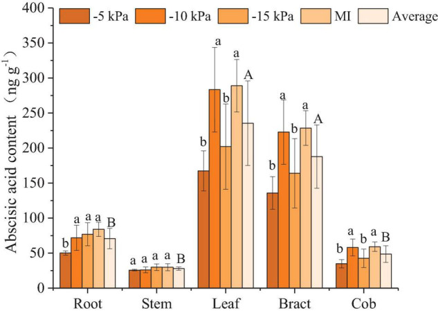 FIGURE 4