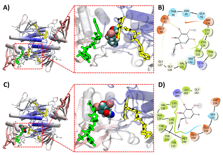 Figure 10