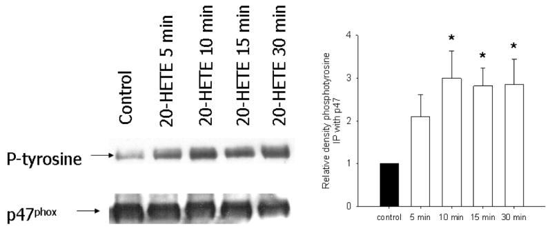 Fig. 10