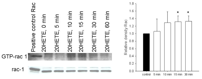 Fig. 11