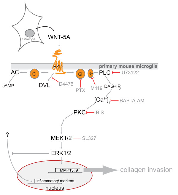 Figure 7 