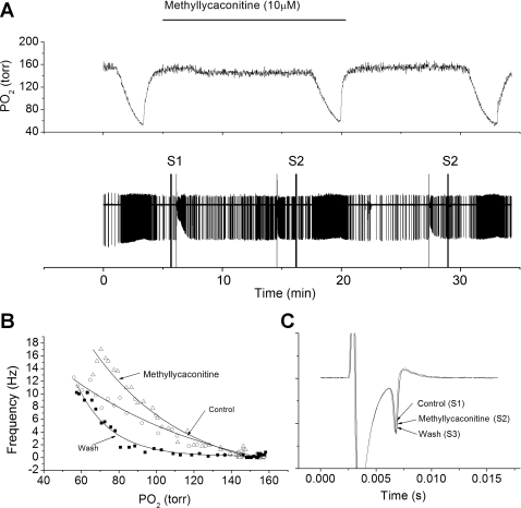 Fig. 10.