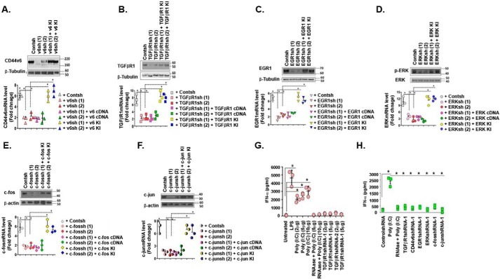 Figure 12.