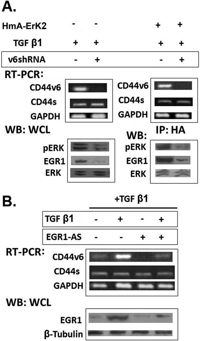 Figure 15.