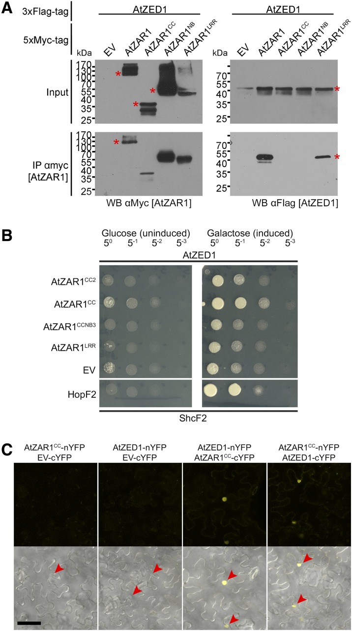 Figure 3.