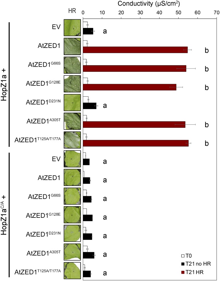 Figure 7.