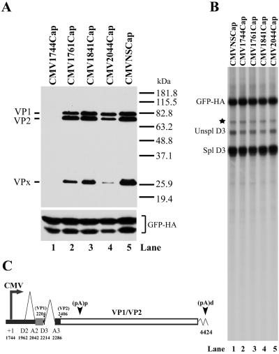 FIG. 6.