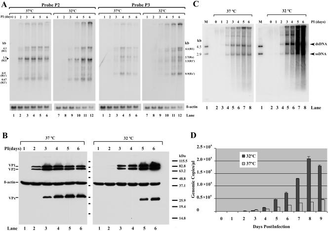 FIG. 4.