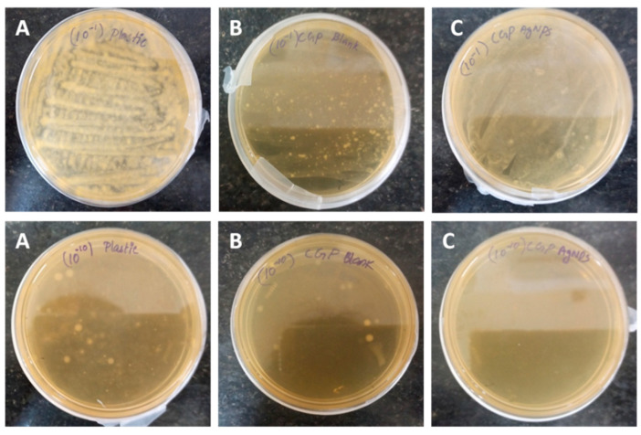 Figure 13