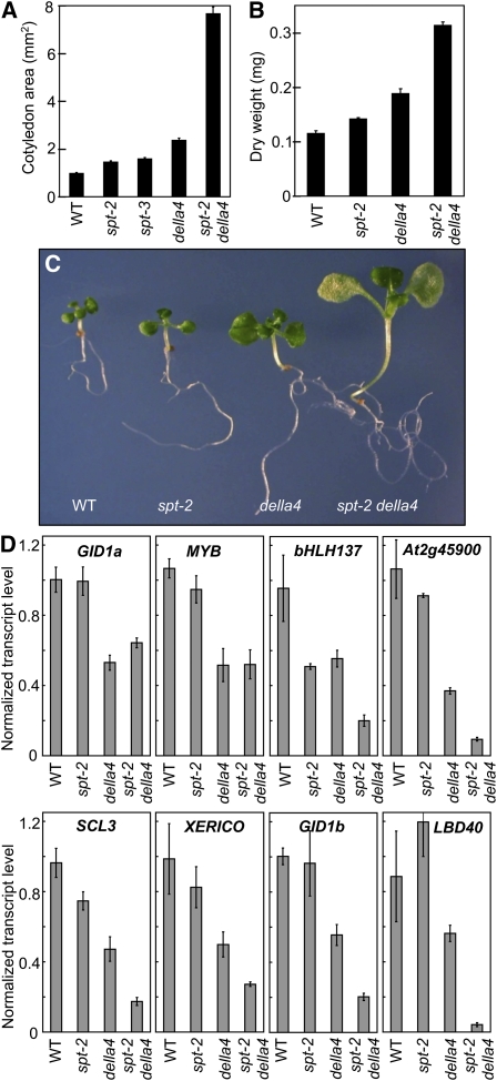 Figure 6.