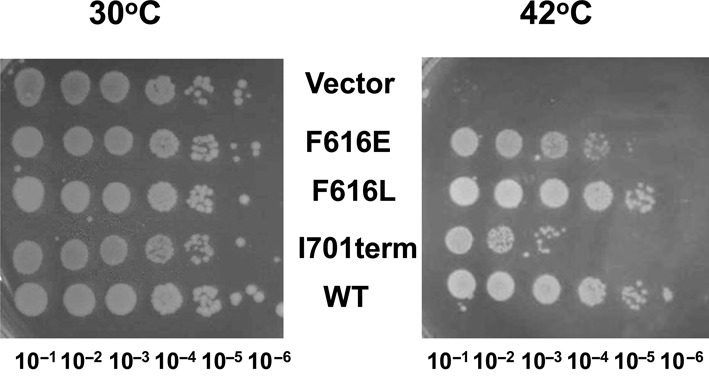 Figure 7.