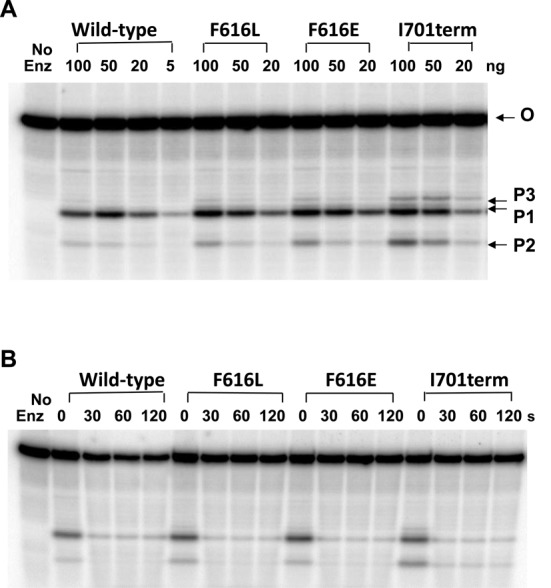 Figure 6.