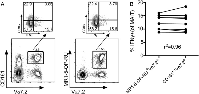 Fig. S4.