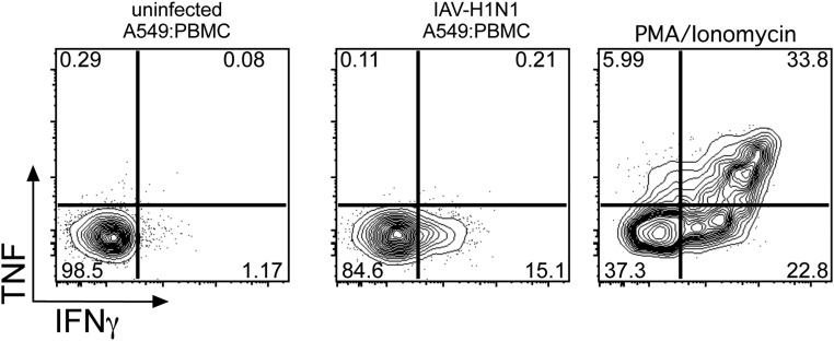 Fig. S3.