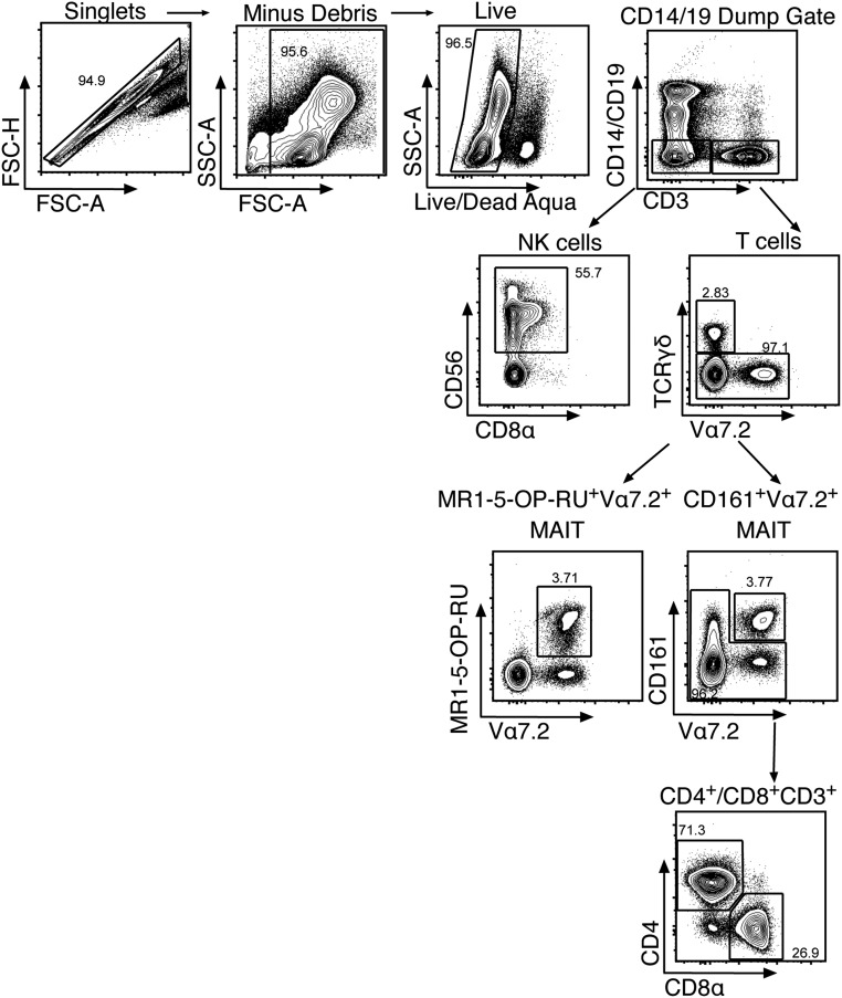 Fig. S1.