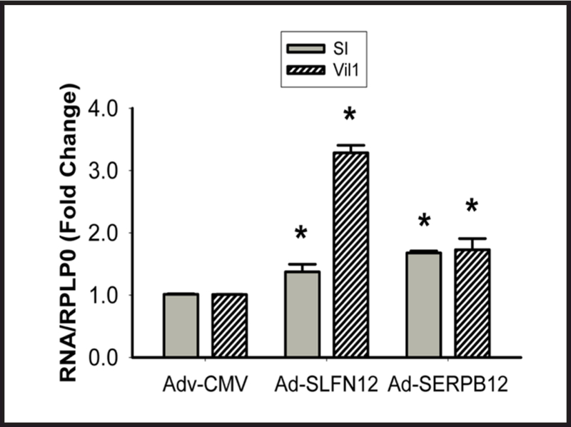 Fig. 6.