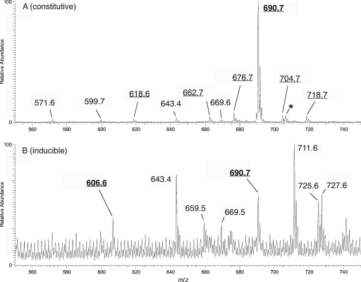 FIG. 8.