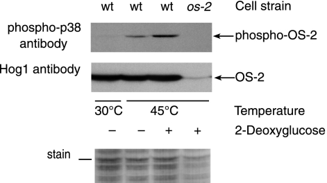 FIG. 10.