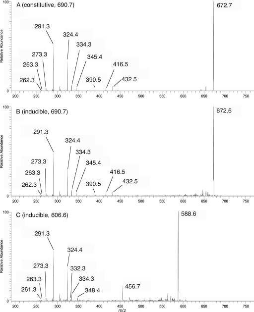 FIG. 9.