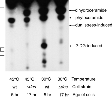 FIG. 7.