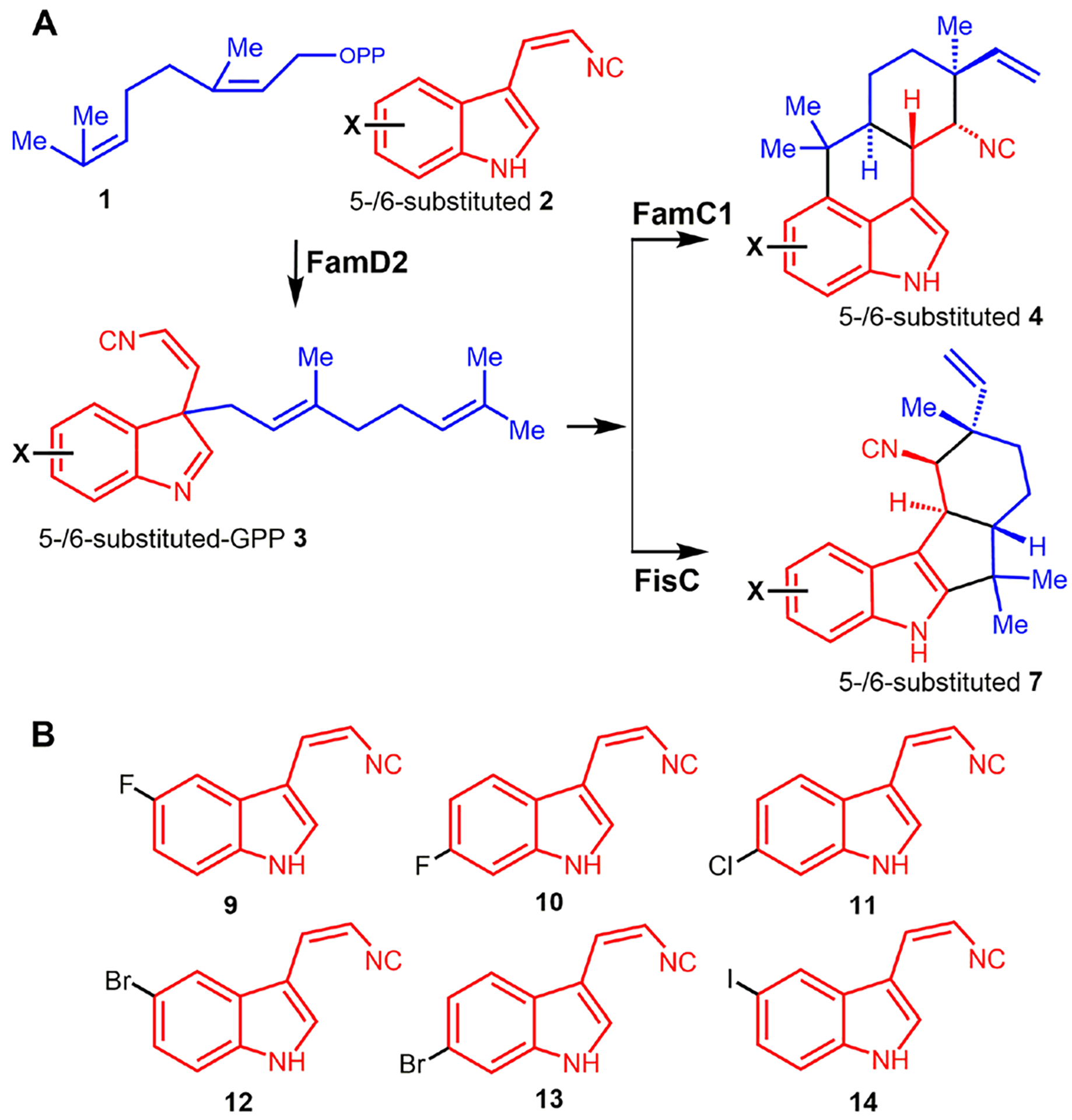 Figure 5.