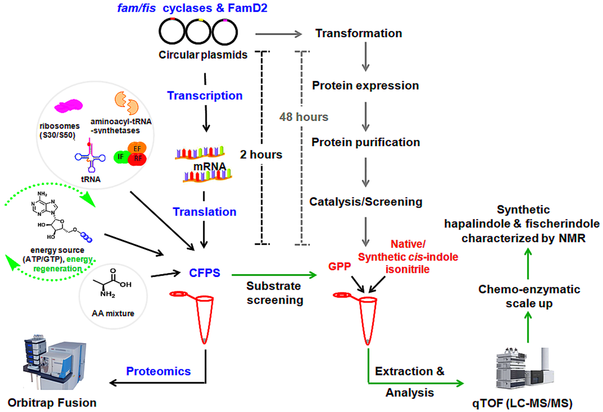 Figure 2.