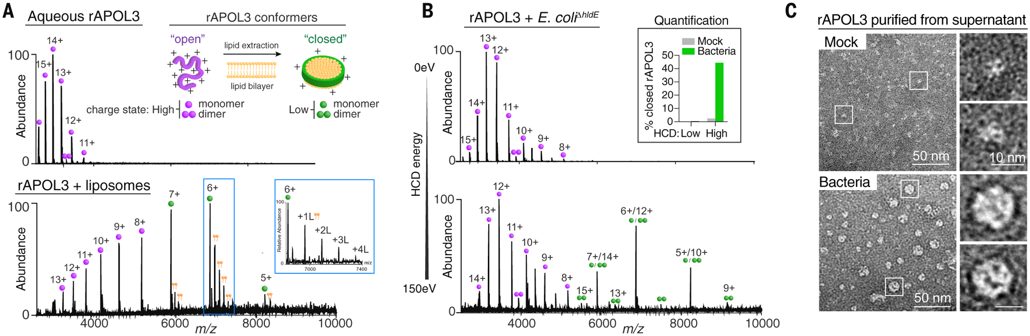 Fig. 6.