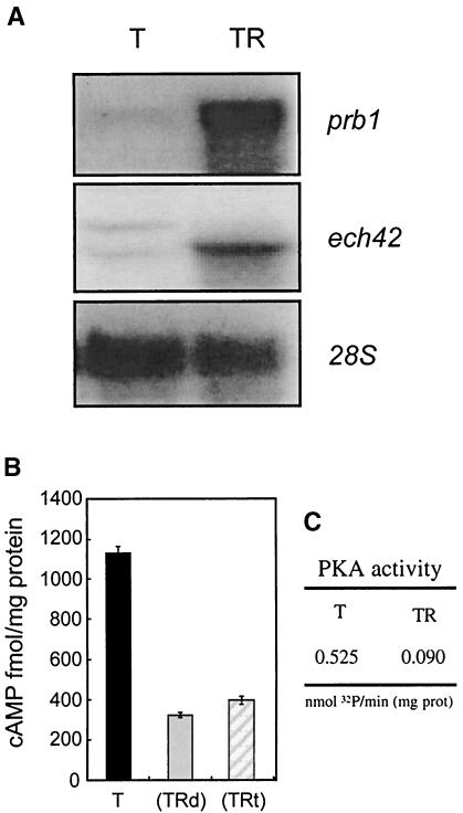 FIG. 10.