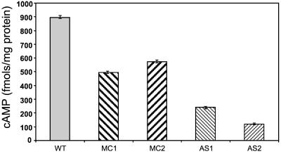 FIG. 7.