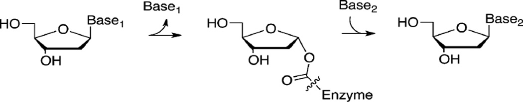 Scheme 1